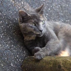 Meet your Posher, Jean